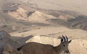 Desert Peace